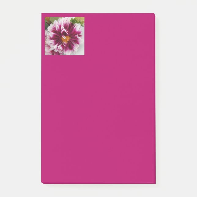 Cartheuserin Post-it Klebezettel (Vorderseite)