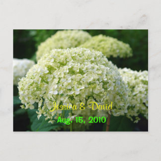 Carton de faire-part de mariage Hydrangea Blanche