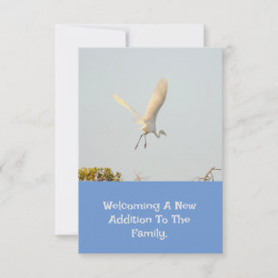 Cartons Réponse Annonce de naissance avec cigogne volante.