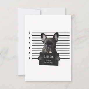 Cartons Réponse Bulldog Bad Chien Jail Frenchie Chien Maman Lover