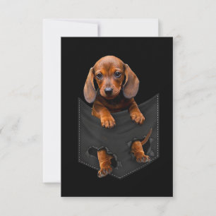Cartons Réponse Chien de chien Dans My Pocket Dachshund Weiner Dog