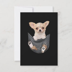 Cartons Réponse Femmes Drôle Chihuahua Dans Votre Poche Chiens Ama
