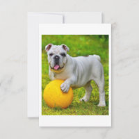 Joli cadeau de Bulldog Basketball Bulldog Lover an