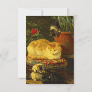 Cartons Réponse Les chatons en jeu