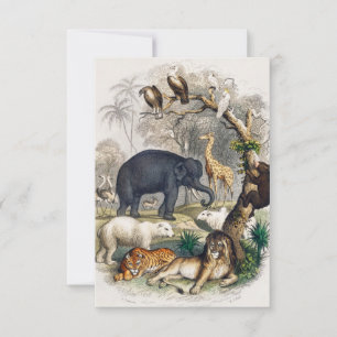 CARTONS RÉPONSE LION JUNGLE PORTEZ L'ÉLÉPHANT TIGER