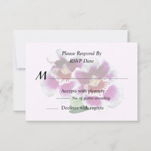Cartons Réponse Orchidées de Miltoniopsis rose et blanc