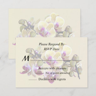 Cartons Réponse Orchidées Phalaenopsis jaune pâle et magenta