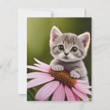 Petit chat gris floral mignon