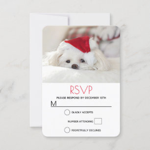 Cartons Réponse Un mignon chien blanc dans un Casquette de Noël ro