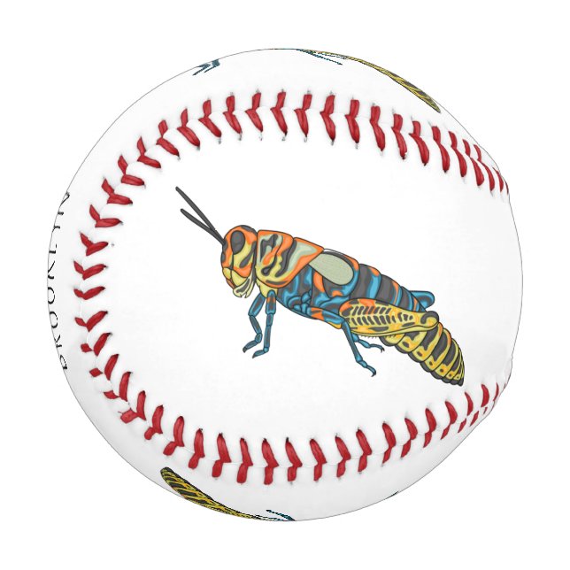 Cartoon-Abbildung Baseball (Vorderseite Links)