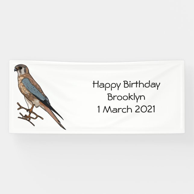 Cartoon Banner (Horizontal)