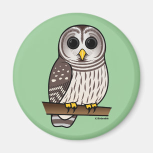 Cartoon Barred Owl Magnet