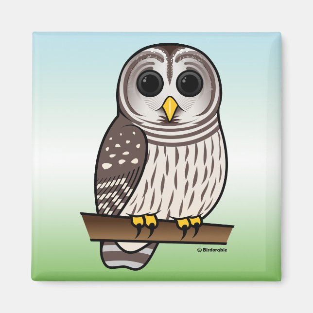 Cartoon Barred Owl Magnet (Vorne)