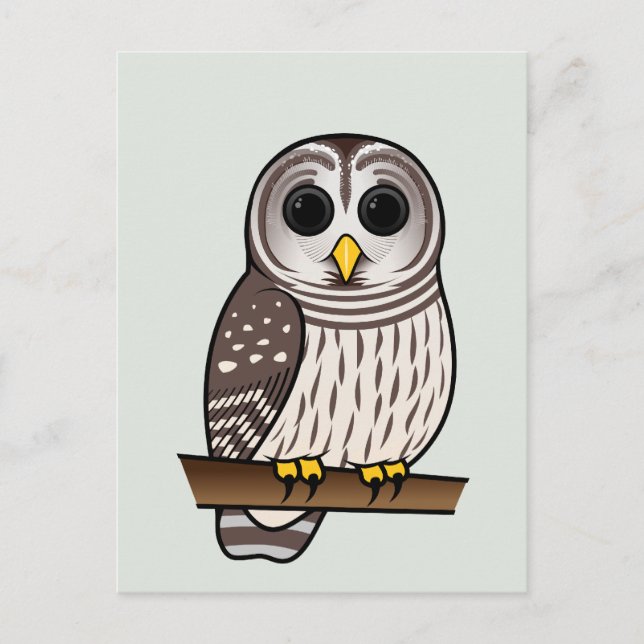 Cartoon Barred Owl Postkarte (Vorderseite)