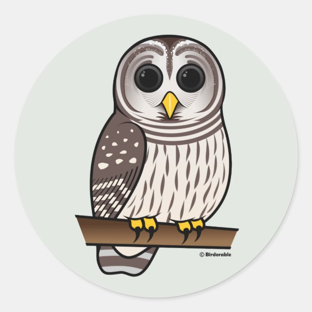 Cartoon Barred Owl Runder Aufkleber (Vorderseite)
