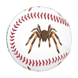 Cartoon der graubraunen und orangen Spinne Baseball