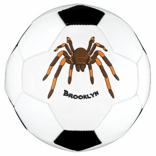 Cartoon der graubraunen und orangen Spinne Fußball