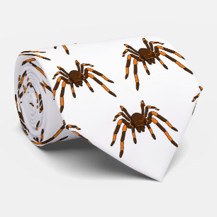 Cartoon der graubraunen und orangen Spinne Krawatte