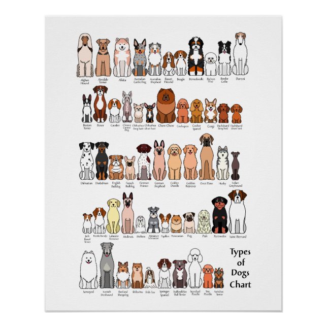 cartoon dog breeds poster (Vorderseite)