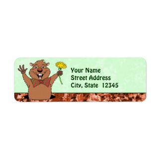 Cartoon Groundhog