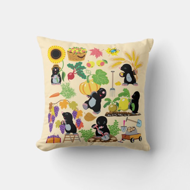 Cartoon Kissen (Vorderseite)