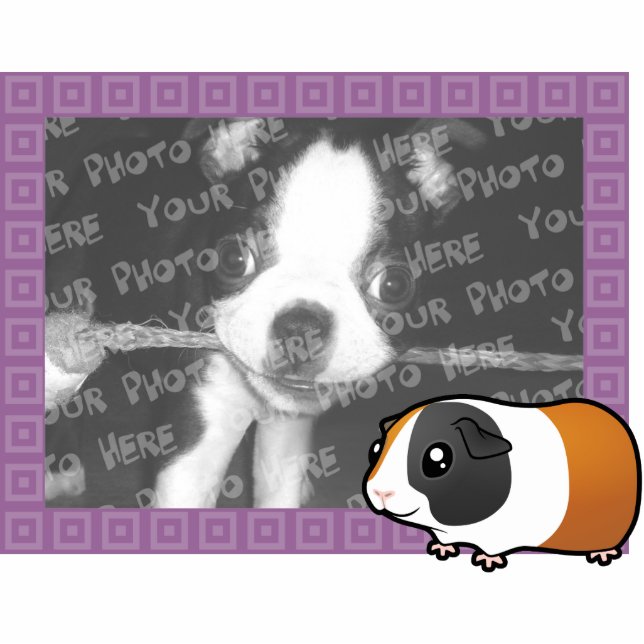 Cartoon-Meerschweinchen-Foto-Feld (glattes Haar) Fotoskulptur Magnet (Vorne)