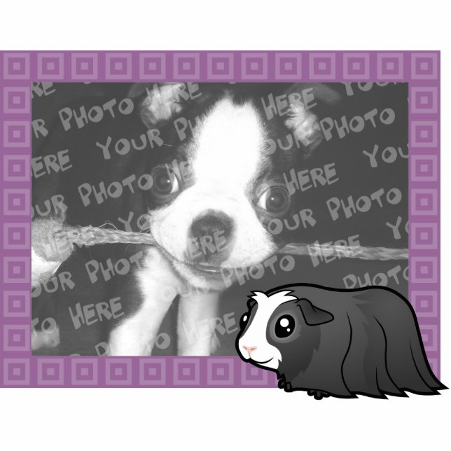 Cartoon-Meerschweinchen-Foto-Feld (langes Haar) Fotoskulptur Magnet (Vorne)