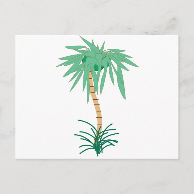 Cartoon Palm Tree Postkarte (Vorderseite)