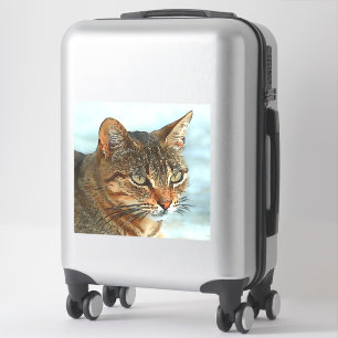 Cartoon Style Tabby Cat RB Aufkleber