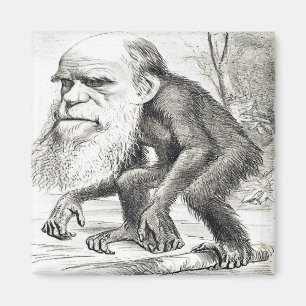 Cartoon von Charles Darwin 1871 Magnet