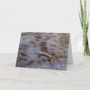 Cartouches de mer dans la carte de voeux Surf