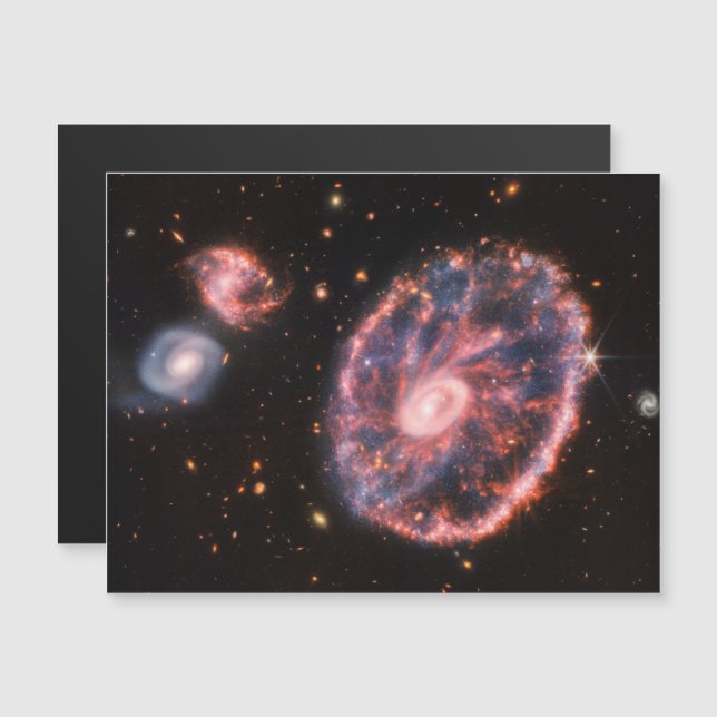 Cartwheel Galaxy, James Webb Space Telescope Magnetkarte (Vorne/Hinten)