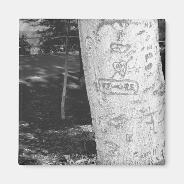 Carving on birch tree trunk B&W Magnet (Vorne)