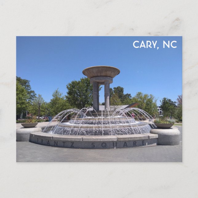 Cary North Carolina Im Fünfspänner über den Gottha Postkarte (Vorderseite)