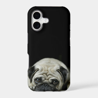 cas triste de l'iphone 5 de carlin