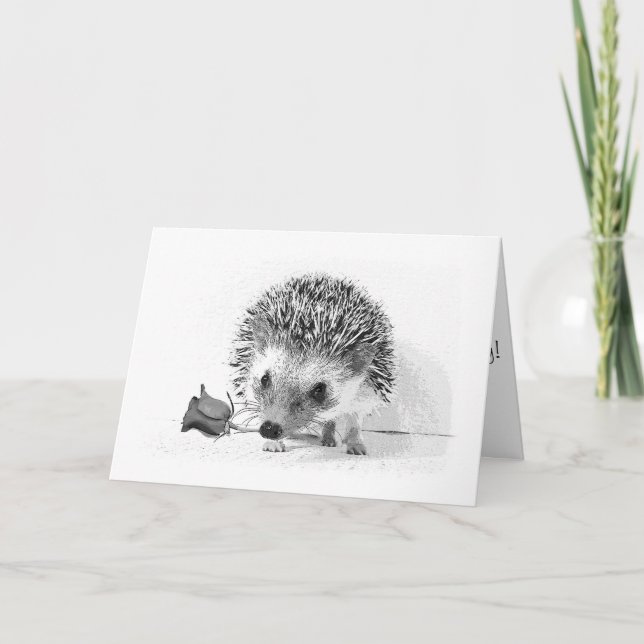 Casanova Igel, der Rose im Mund hält Karte (Vorderseite)