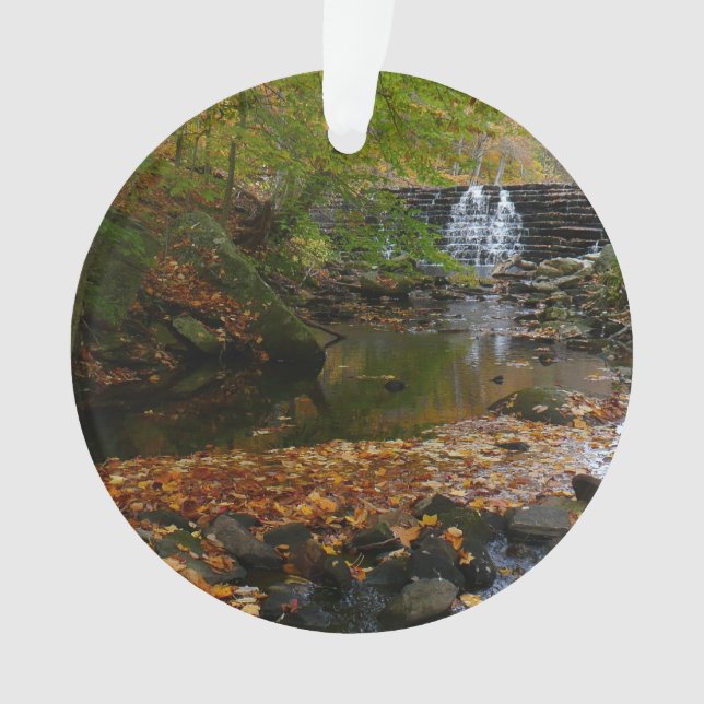 Cascade automnale et Creek Pennsylvania Nature (devant)