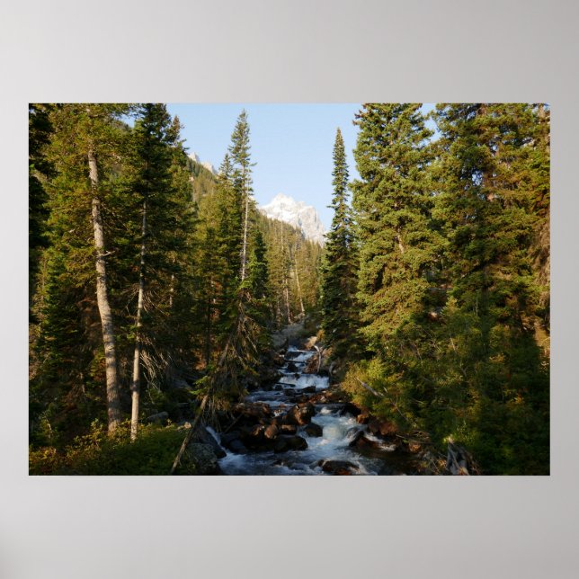 Cascade Creek at Grand Teton Poster (Vorne)