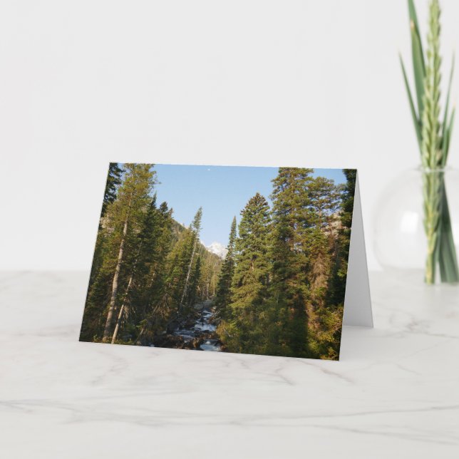 Cascade Creek bei Grand Teton Karte (Vorderseite)
