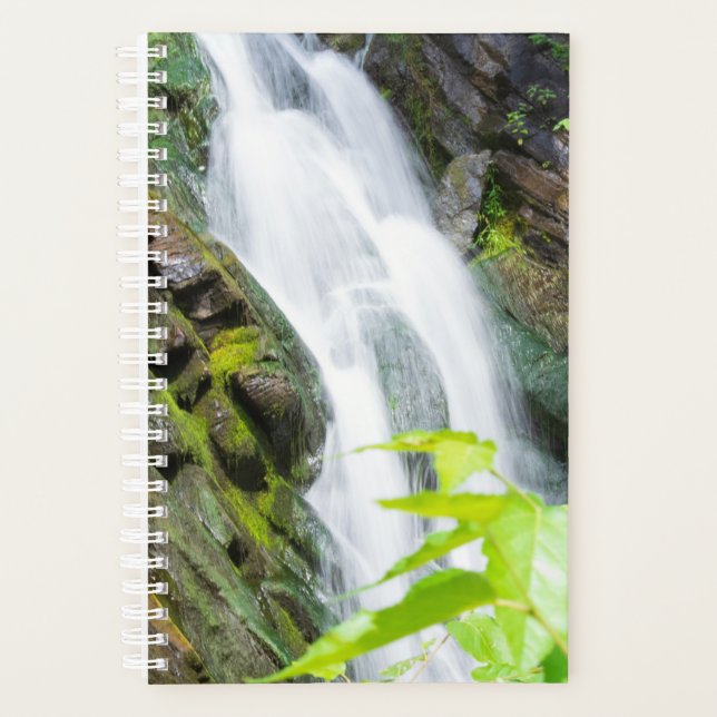 Cascade de Hell's Gate Canyon (Devant)