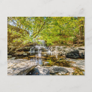 Cascade De Tanyard Creek Dans La Carte Postale Aut
