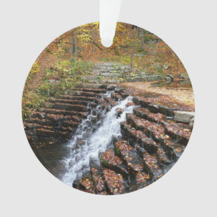 Cascade du parc d'état Laurel Hill State Park II