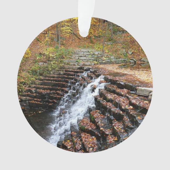 Cascade du parc d'état Laurel Hill State Park II (devant)