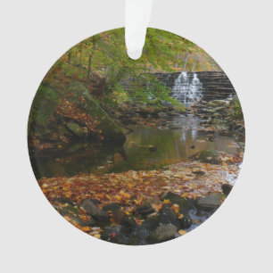 Cascade et ruisseau d'automne en Pennsylvanie Natu