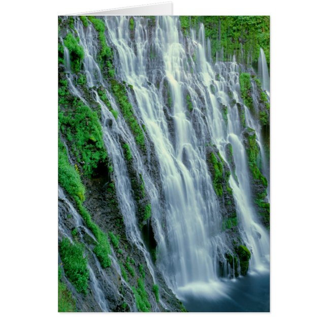 Cascade pittoresque, Californie (Devant)