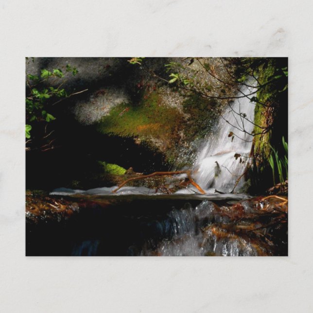 CASCADE. POOL. FALLS. Meditation - eine Sichtweise Postkarte (Vorderseite)
