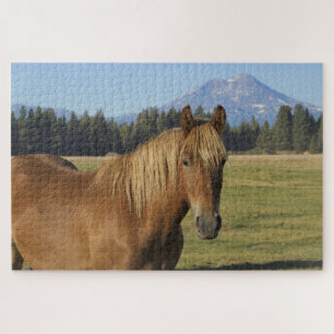 Cascade Range Kastanienbraunes Pferd