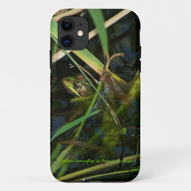 Case iPhone 5 mit Bild eines grünen mimetischen Fr (Rückseite)