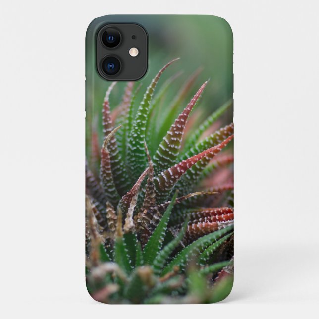 Case-Mate Barely There Apple iPhone 11 Hülle (Rückseite)