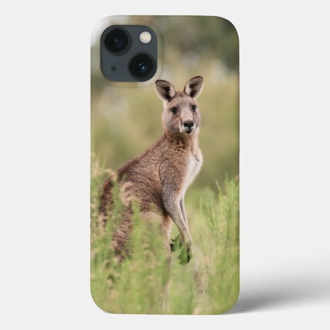 Case-Mate Barely There Apple iPhone 13 Fall Hülle (Rückseite)